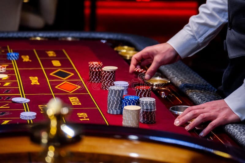 bj33